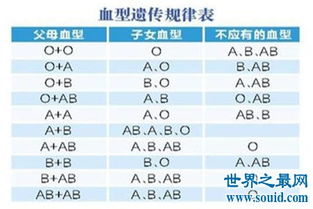 你知道血型遗传规律表是干什么的吗,据说是能进行亲子鉴定 