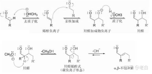 羟醛缩合是什么反应类型 