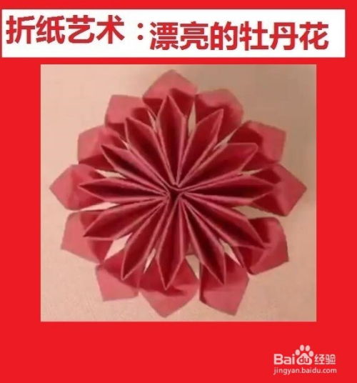 折纸艺术 漂亮的牡丹花 