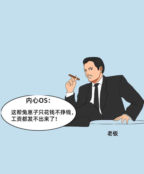 IT程序员不写代码了,还能做什么