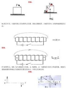 中考物理作图题汇编,看完中考5分到手了