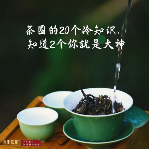 茶凉冷知识