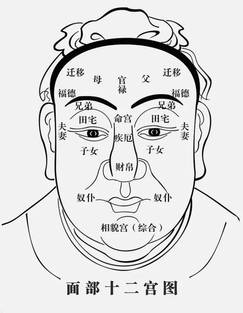 民间看相秘诀 配图