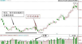 谁知道怎么样炒股联系咱们