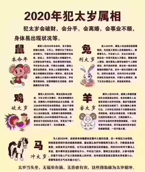 生肖属兔的人在2020年运势简析