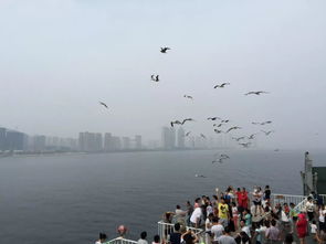 十二宫 女神 古北店YoYo 活力白羊,赐予你温暖,也赐予你力量