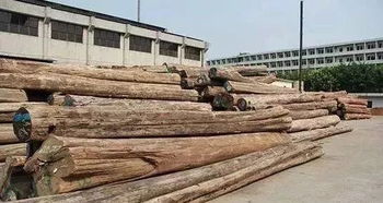 全缅将禁止木材砍伐,缅花或将掀涨价潮
