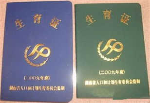 北京二胎准生证 2019年北京市二胎准生证如何办理及办理流程材料