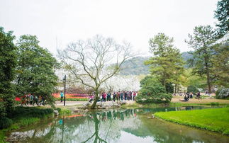 西湖西溪停车位置在哪里杭州热门景区停车指南(太子湾公园附近免费停车场)