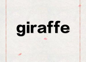 giraffe英语怎么读