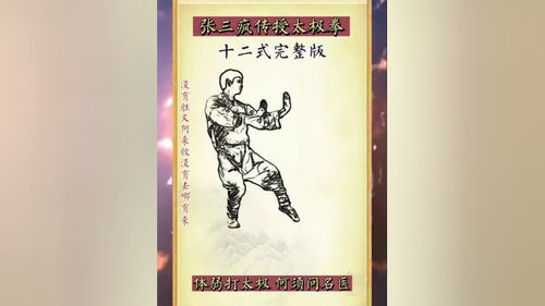 张三丰太极拳十二式,零基础学习的 太极拳 传统文化 