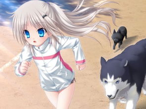 动漫 一个银色头发 蓝眼睛的女孩和一只狗的故事 