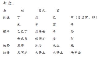 金星八字分析