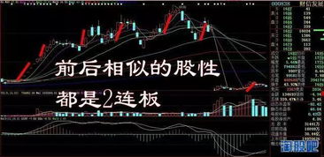 豫光金铅股票发行价是多少