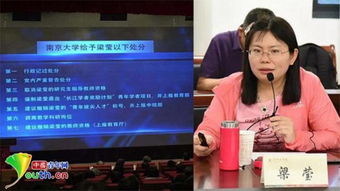 南京大学梁莹学术不端 南京大学教授梁莹被曝多篇论文涉嫌学术不端 具体是什么情况？