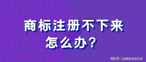 商标注册不下来,80 是这个原因 千万要注意