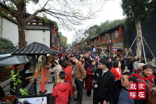 旅游过年去哪好玩旅游过年去什么地方好玩(过年最好玩的地方排行榜)