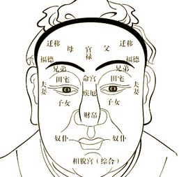 相面术内部秘籍曝光,人际交往的必备技能