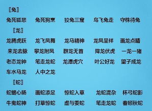 9类小学常用成语汇总结 家有孩子,人手一份