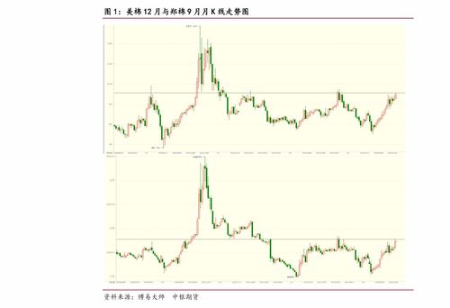 配售股票是什么意思