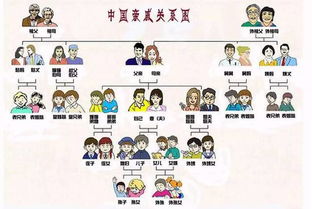 动手跟孩子一起做一张 亲戚关系图 