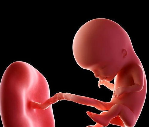 原创孕早期，胎儿发育比较“关键”，孕妈尽量学会这些“孕期知识”