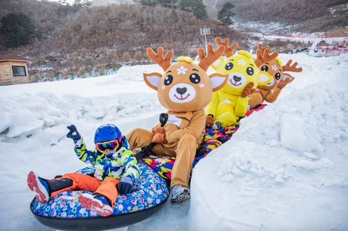 天女小镇冰雪贺岁季,带你 犇 向快乐