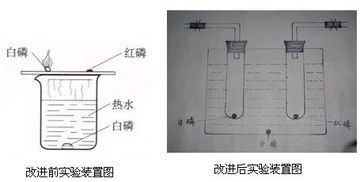 化学白磷红磷