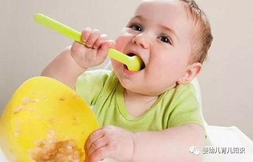婴儿辅食添加时间表是怎样的 宝宝一天吃几顿辅食 答案在这里
