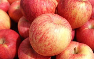 同样的苹果，中国售价3元一斤美国15元一斤，为什么？