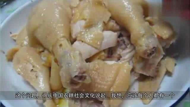 燕子肉能不能吃(燕子肉的做法)