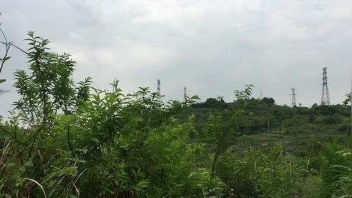 耿明远 判断阴宅好坏的方法纲要,取出靠山就知道这处风水好不好 