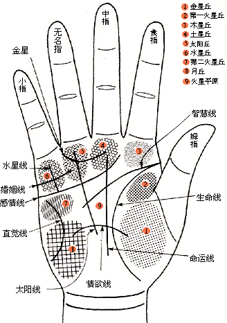 美满婚姻看手相 