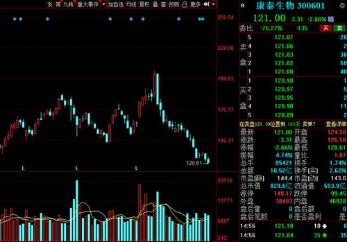 2021年后的A股市场股票大盘还会跌到3000点以下吗？