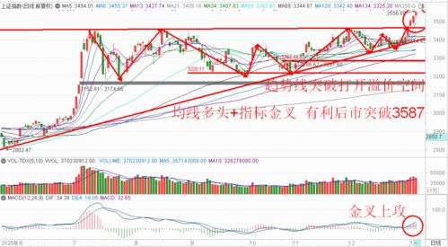 00头是什么板块股 000头又是什么板块 3头又是什么板块 2头又是什么板块 6头又是什么板块