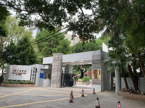 广东有哪些音乐专业的大学