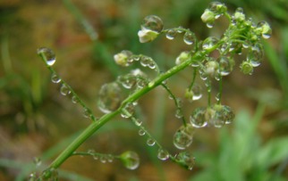 2016杭州梅雨季节持续多久 