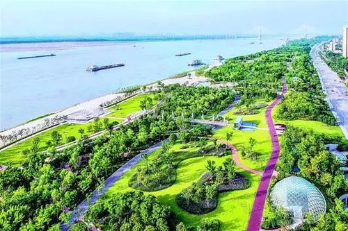 立法保护长江 母亲河 最高立法机关首次审议长江保护法草案