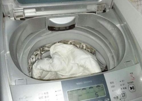 洗衣机怎么洗羽绒服!洗衣机正确洗羽绒服方法