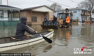 加拿大加蒂诺遭遇洪水 民众出行靠划船 高清组图