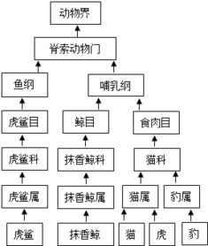 生物的分类单位包括界、门、纲、目、科、属、种，其中最基本的分类单位是______