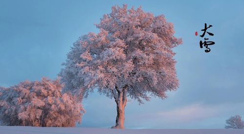 管恩锋 节气轮回结作环,日升日降一年年 二十四节气吟25首