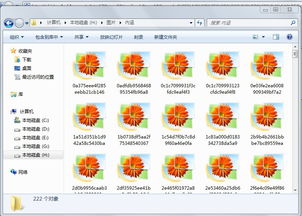 win10不显示的微缩图