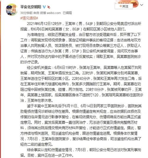 张陶酒后打人被刑拘,需承担什么法律责任 律师解读来了 