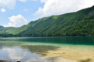  什么是青城山旅游一日游的行程安排？