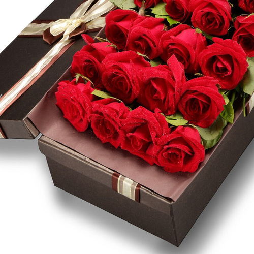 鲜花速递同城配送19朵红玫瑰礼盒生日520521情人节礼物送女朋友