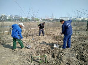 淮南五一公园预计 五一 开园 建设施工进入 快车道