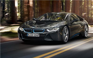 bmwi8的毕业论文