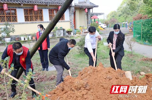 绿心保护村什么意思