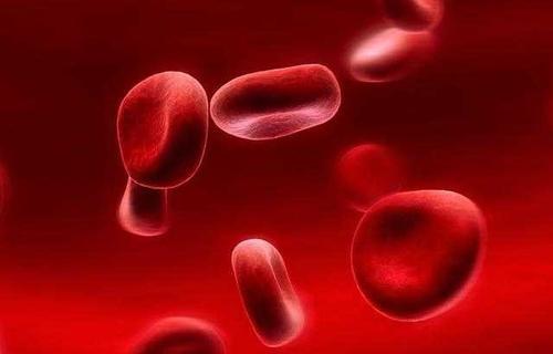 O型血的利与弊 科学家发现O型血遇创伤后死亡率是其他血型两倍
